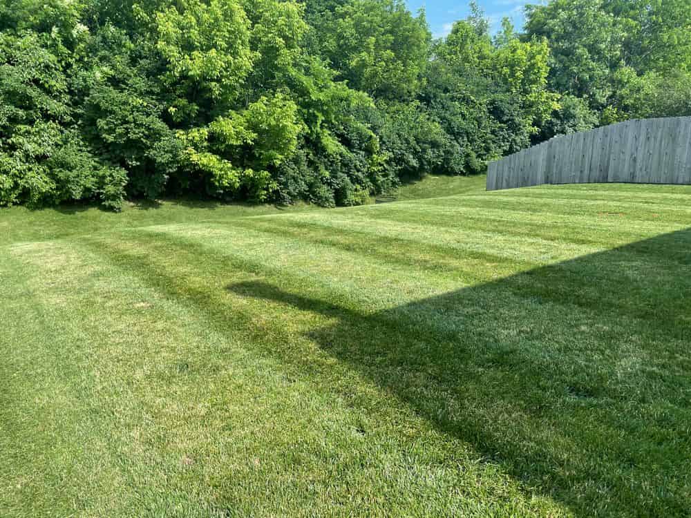 Lawn Mowing image