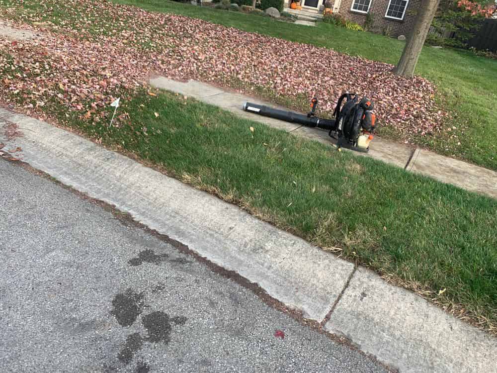 Spring/Fall Cleanups image