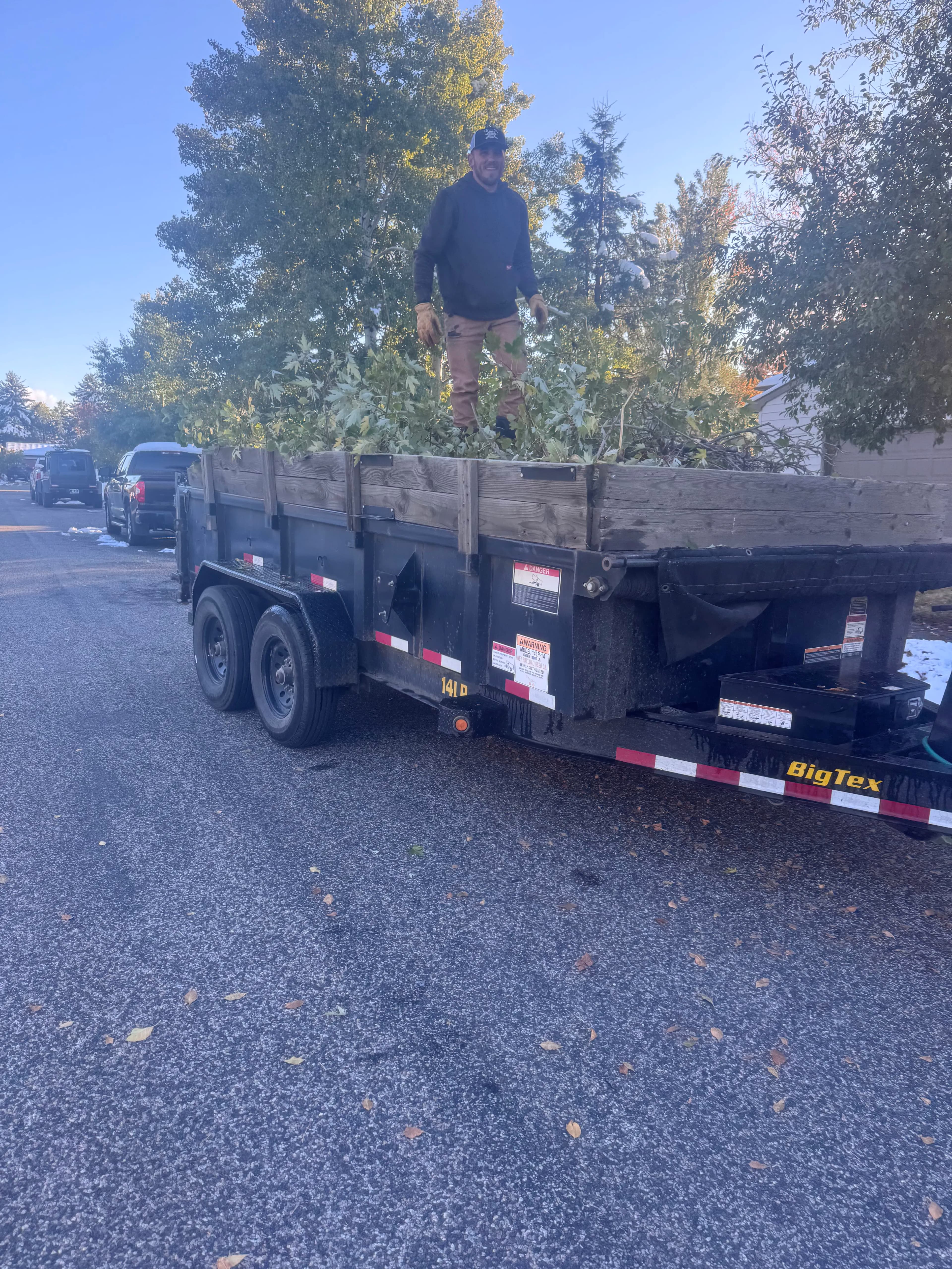 Project Storm Damage Cleanup - Downed Trees and Debris Removal image