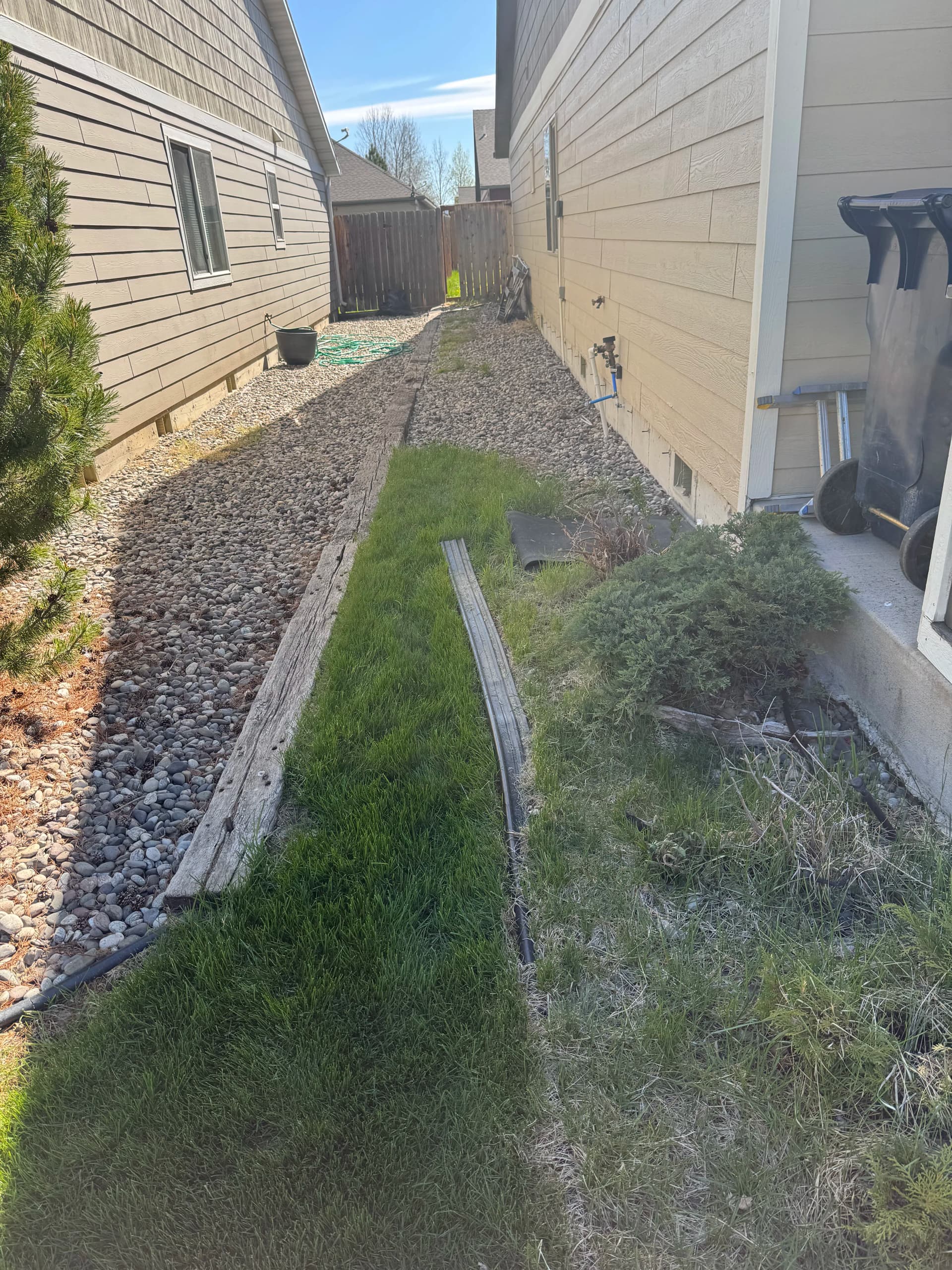 Overgrown Beds Cleaned Up and Back Under Control image