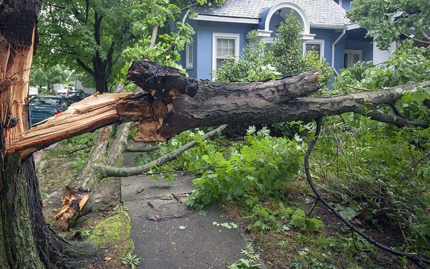 Project Efficient Storm Cleanup Services by Junk Removal Experts image