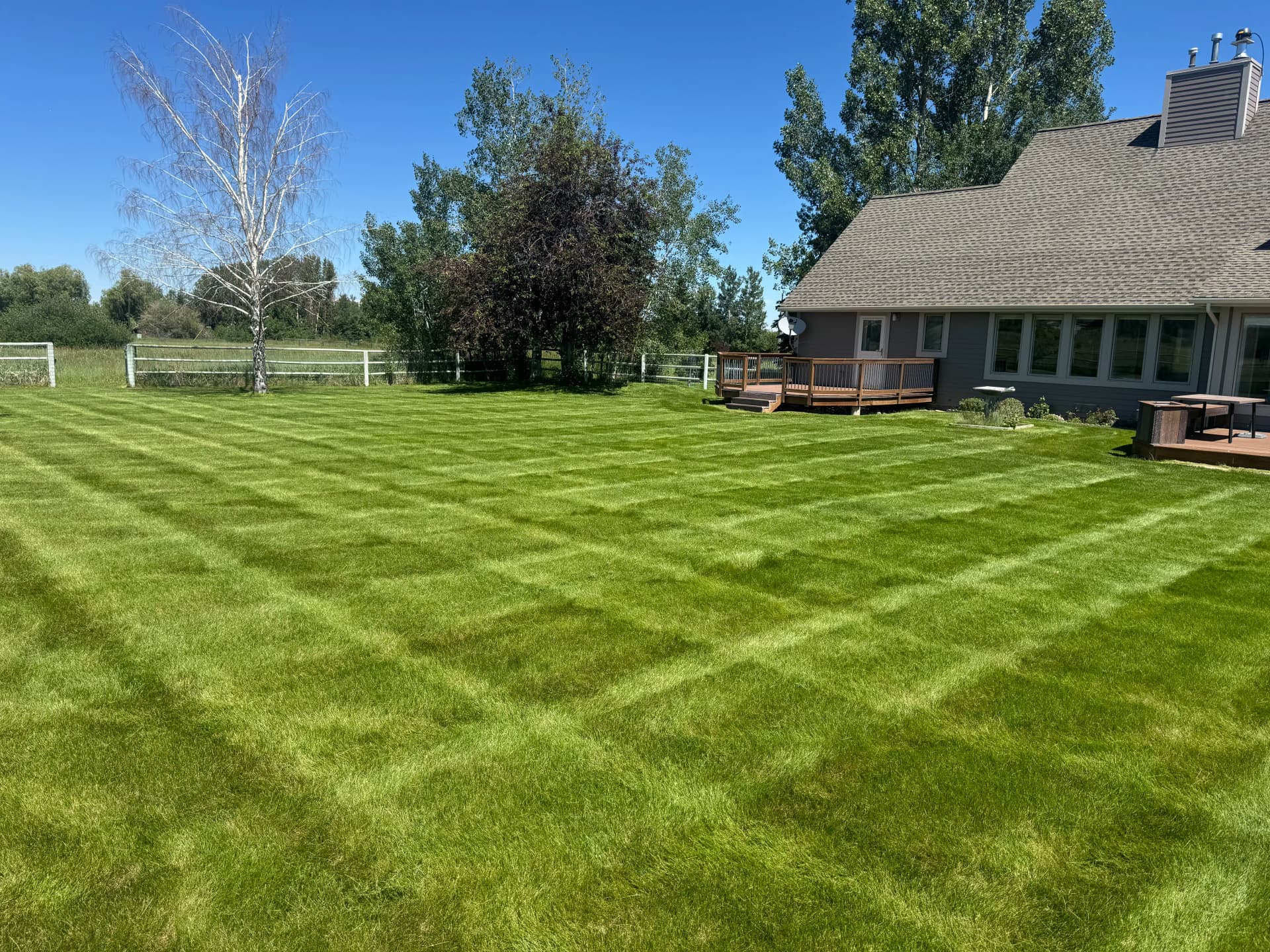 Clean Stripes and Sharp Cuts on Every Lawn We Touch image