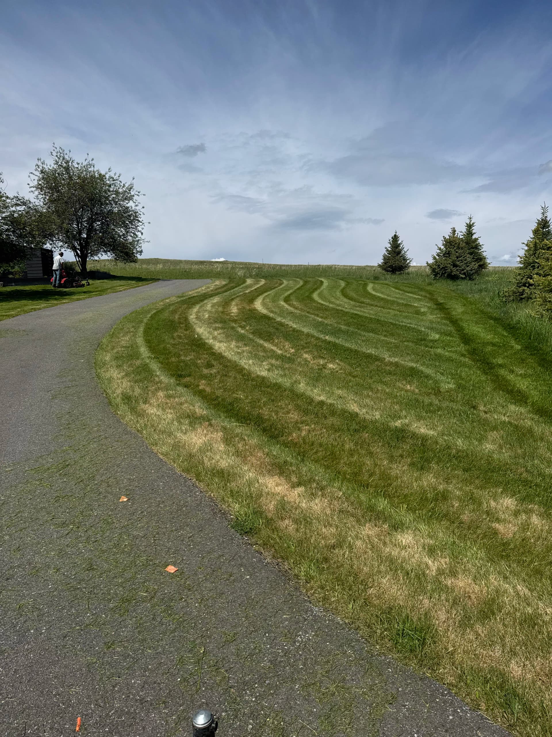 Gallery photos for Clean Stripes and Sharp Cuts on Every Lawn We Touch: Image #3