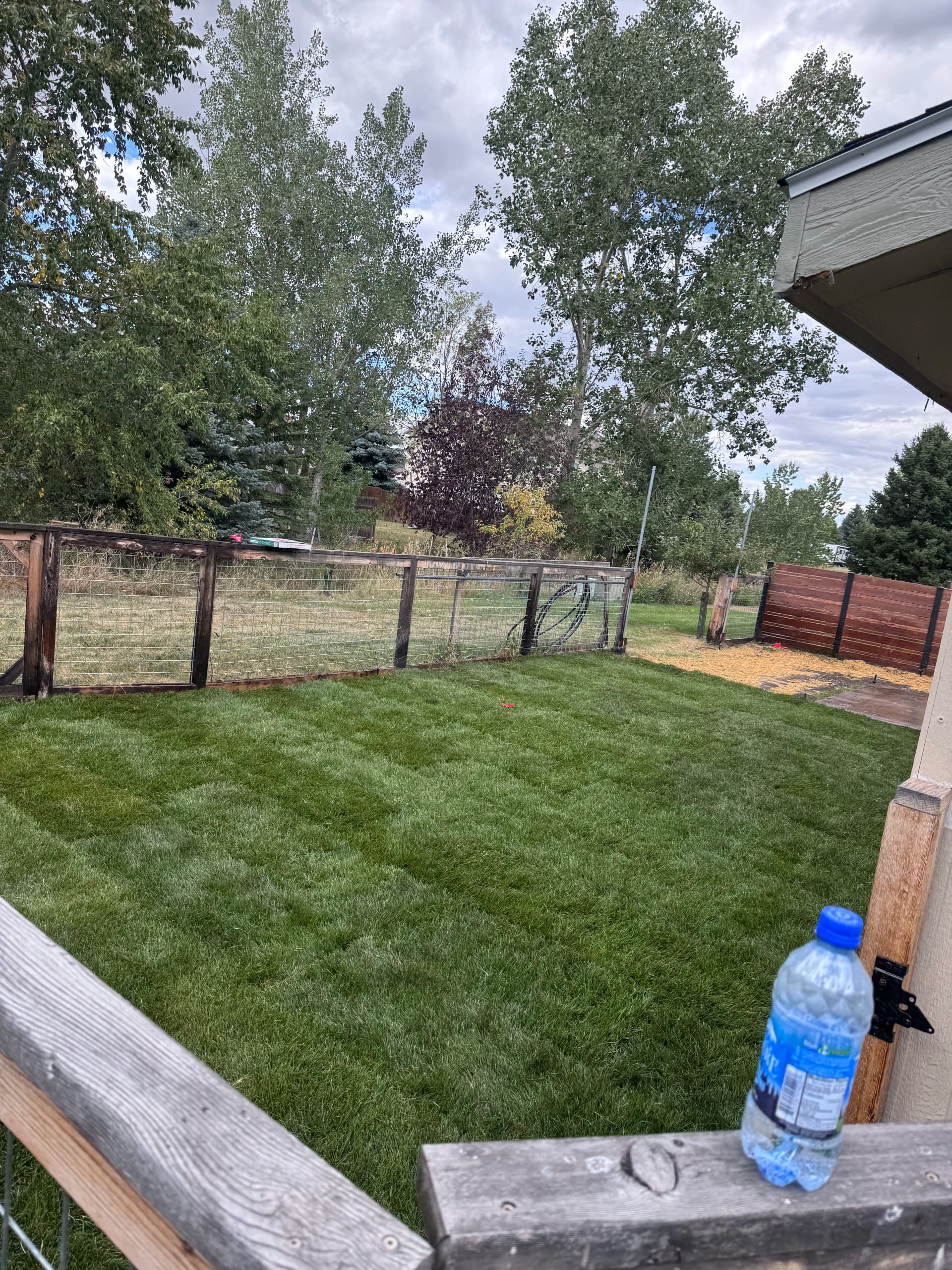 Gallery photos for New Property Yard Done Right - Grading, Irrigation, and Sod Install: Image #2