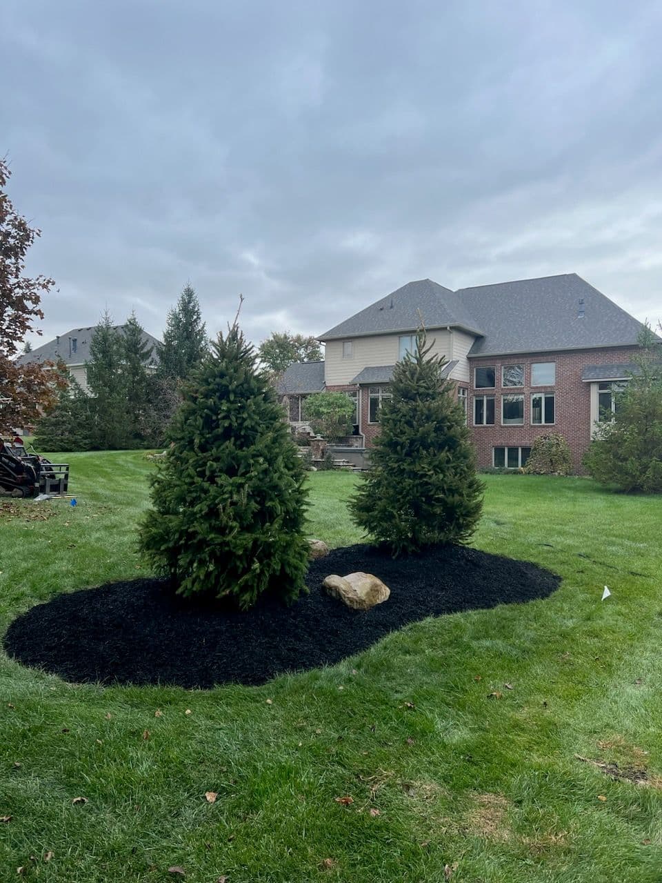 Project Creating Backyard Bliss with Evergreen Mound image