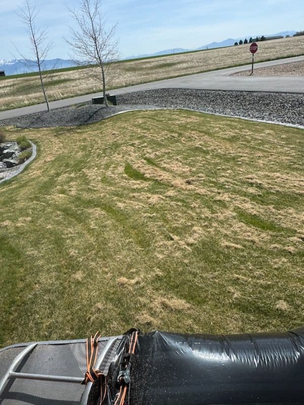 Project Boost Your Lawn's Health with Professional Power Raking image