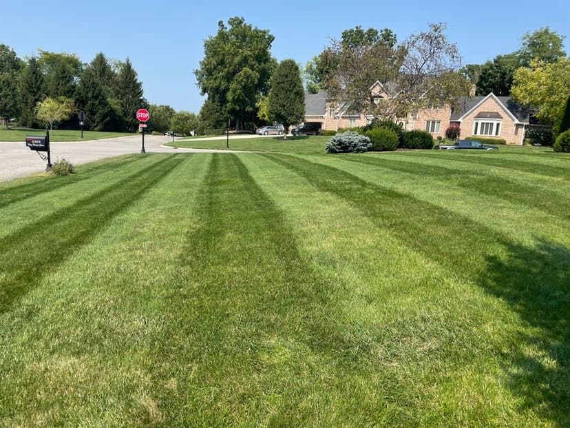 Innovative Lawn Solutions's image