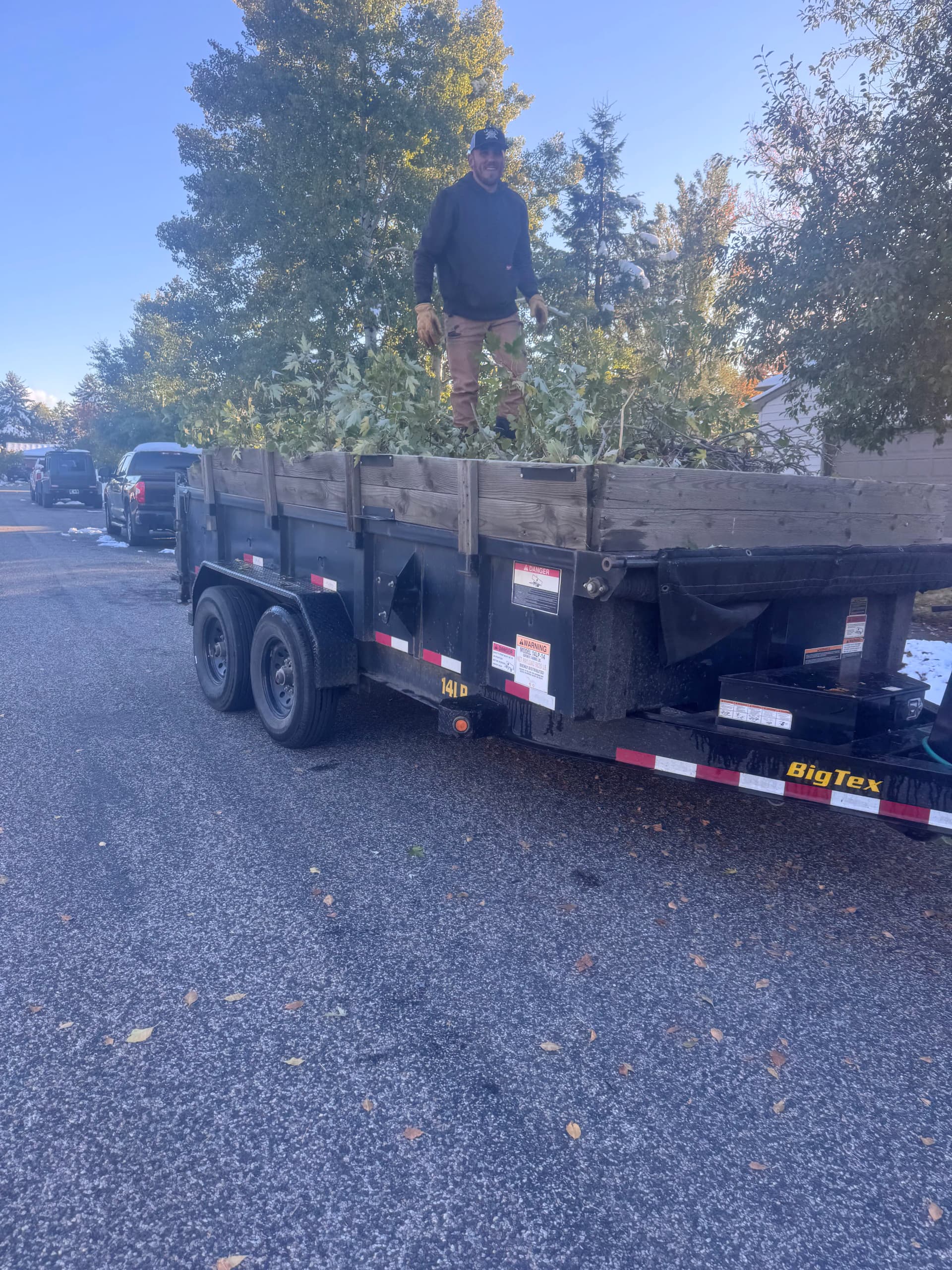 Storm Damage Cleanup - Downed Trees and Debris Removal image
