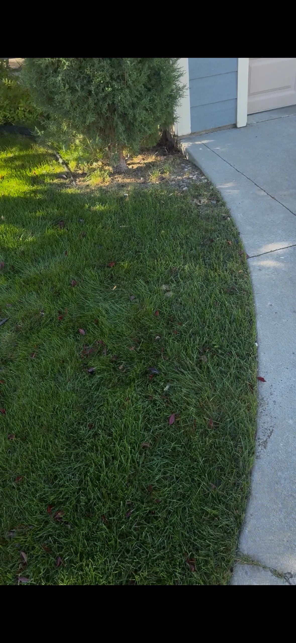 Gallery photos for Rock Bed Refresh That Actually Keeps Weeds Out: Image #1