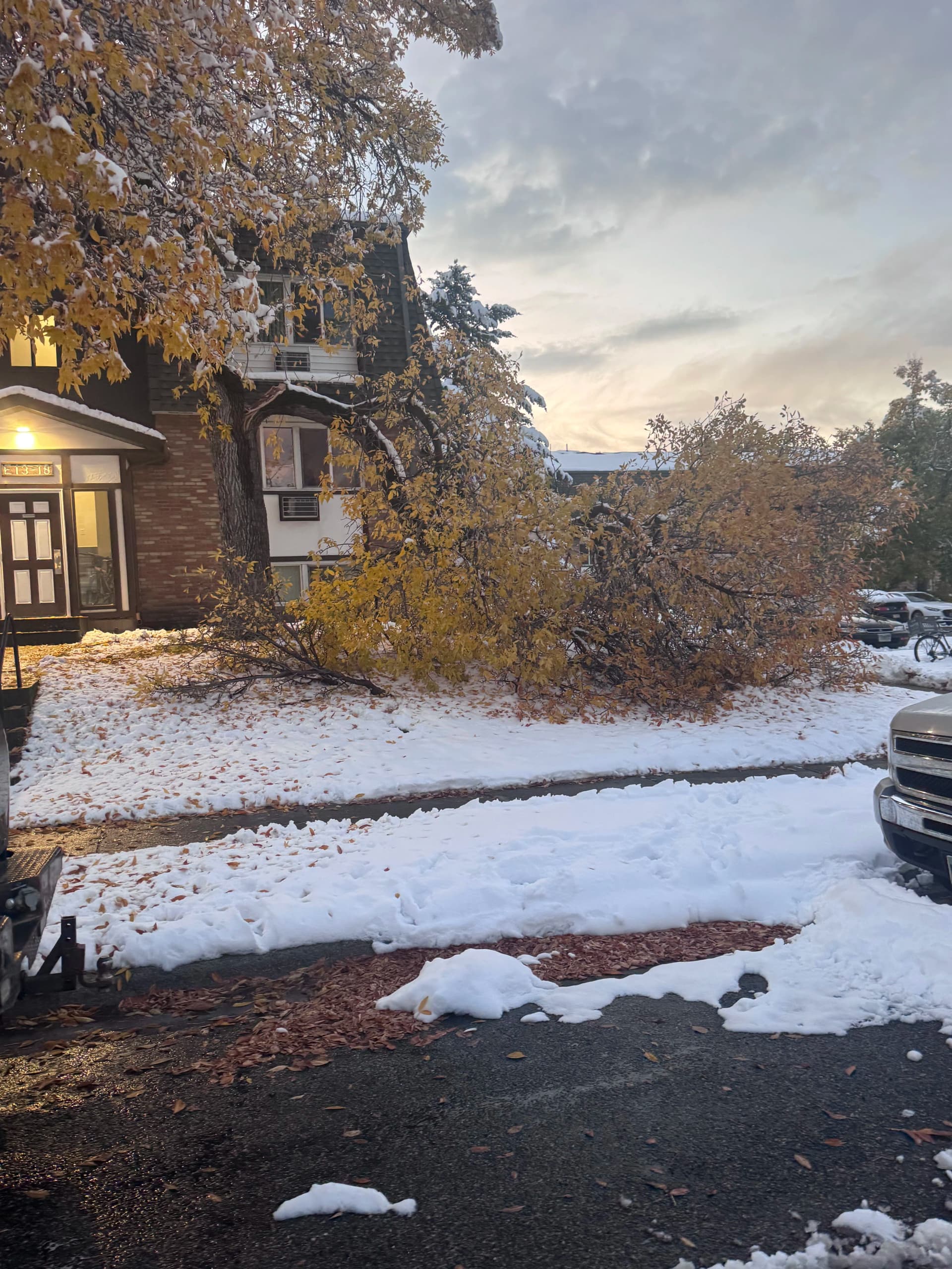 Gallery photos for Storm Damage Cleanup - Downed Trees and Debris Removal: Image #3